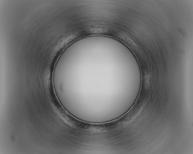 X0000113300490200910051045