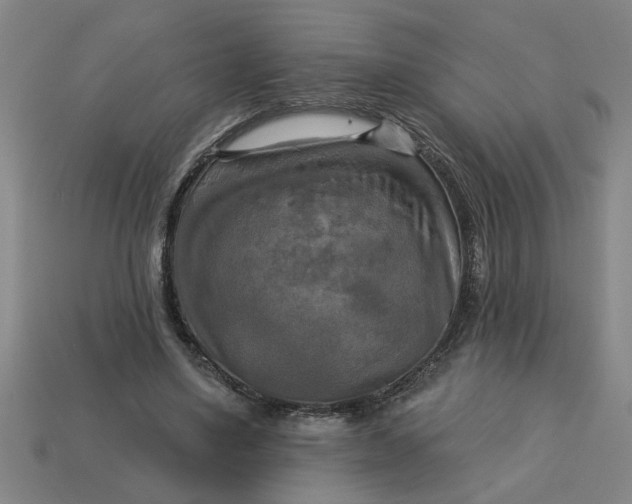 X0000113300491200910051045