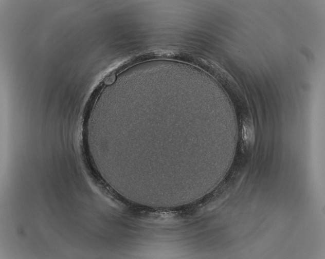 X0000113300492200910051045