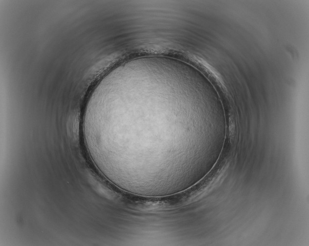 X0000113300493200910051045
