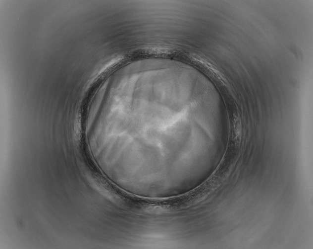 X0000113300494200910051045