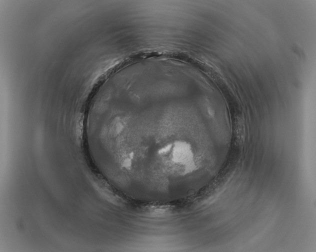 X0000113300495200910051045