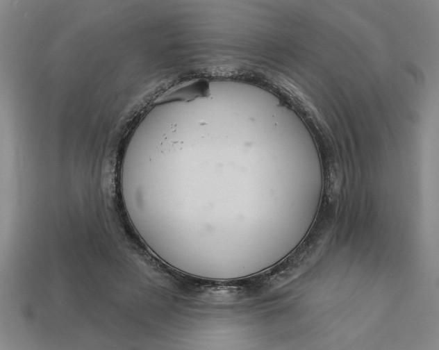 X0000113300497200910051045