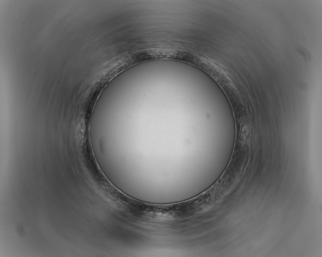 X0000113300498200910051045