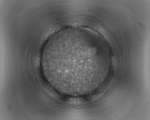 X0000113300499200910051045