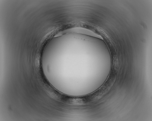 X0000113300501200910051045