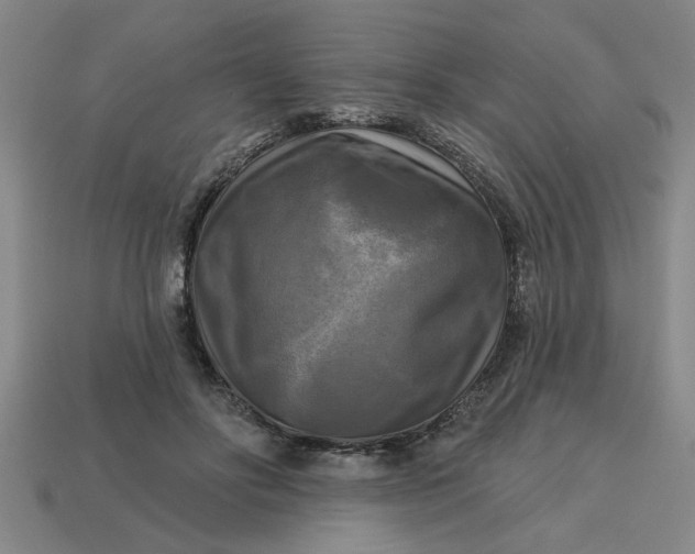 X0000113300502200910051045