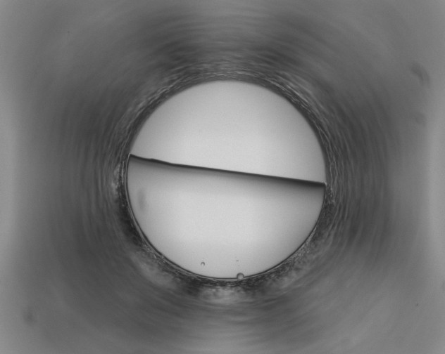 X0000113300503200910051045