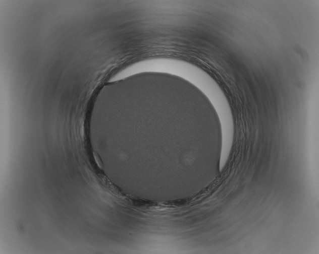 X0000113300504200910051045