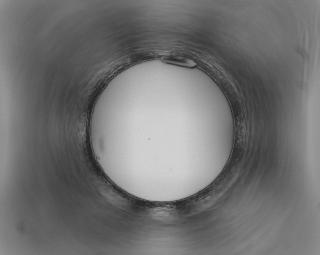 X0000113300505200910051045
