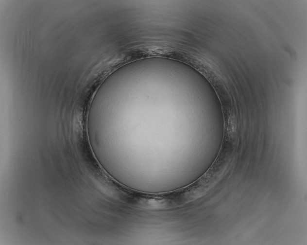 X0000113300506200910051045