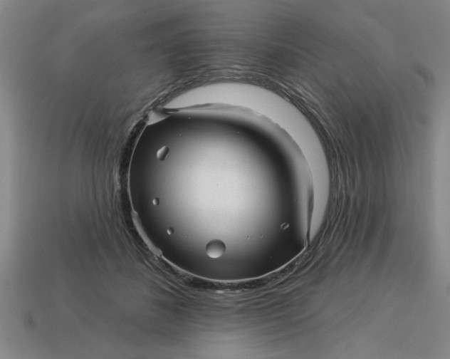 X0000113300508200910051045