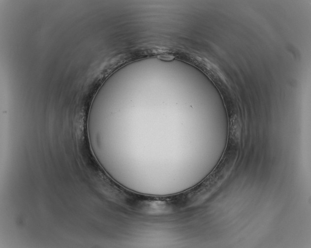 X0000113300509200910051045