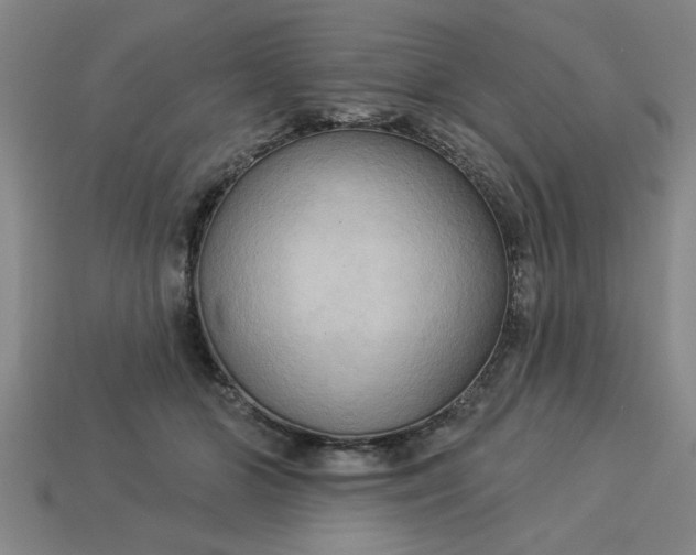 X0000113300510200910051045