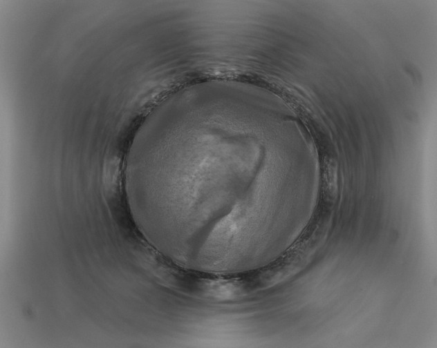X0000113300511200910051045