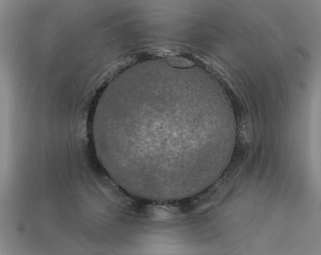 X0000113300512200910051045