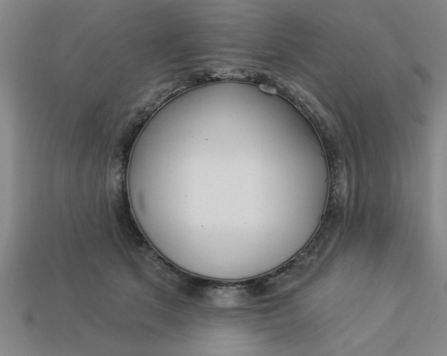 X0000113300513200910051045