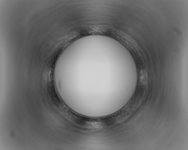 X0000113300514200910051045