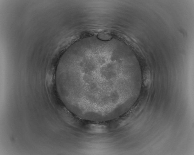 X0000113300515200910051045