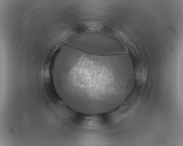 X0000113300516200910051045