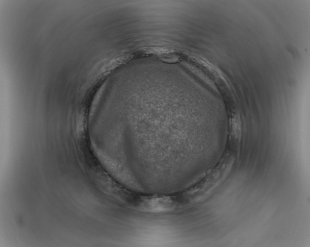 X0000113300517200910051045