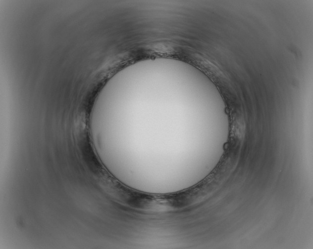 X0000113300518200910051045