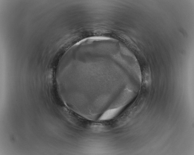 X0000113300519200910051045
