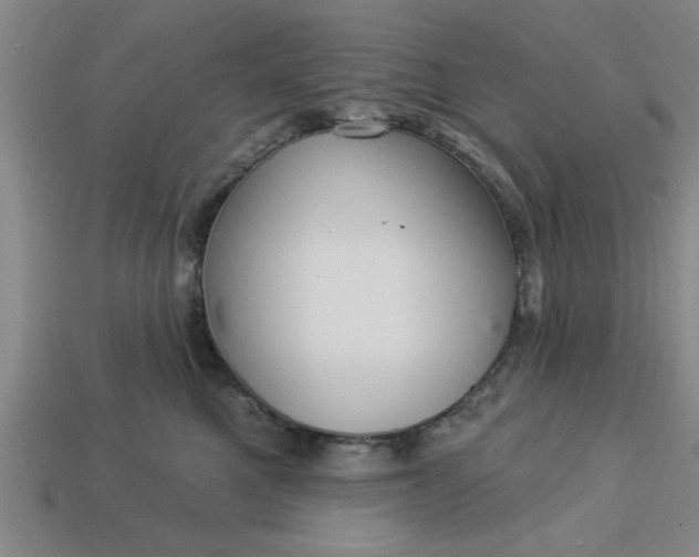 X0000113300521200910051045