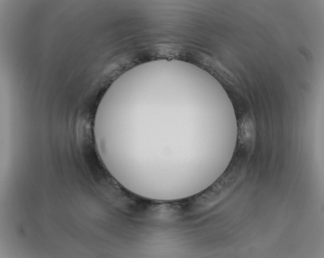 X0000113300522200910051045