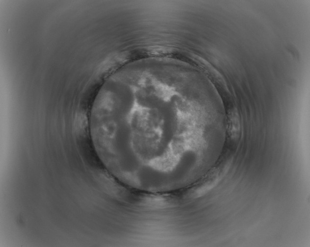 X0000113300523200910051045