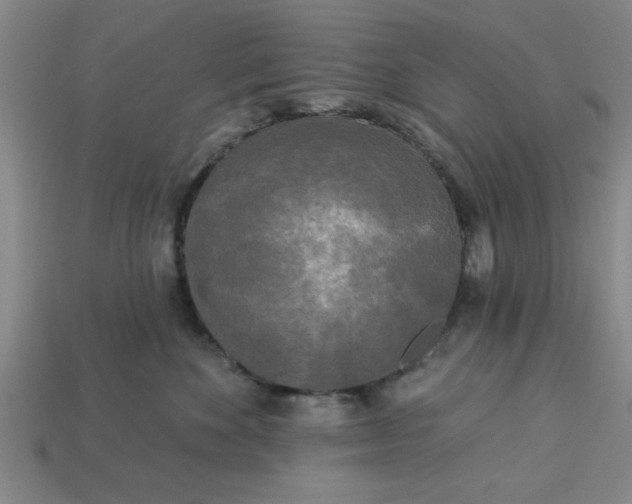 X0000113300524200910051045