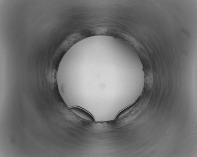 X0000113300525200910051045