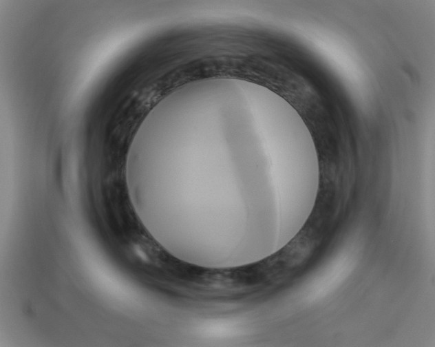 X0000113300526200910051045