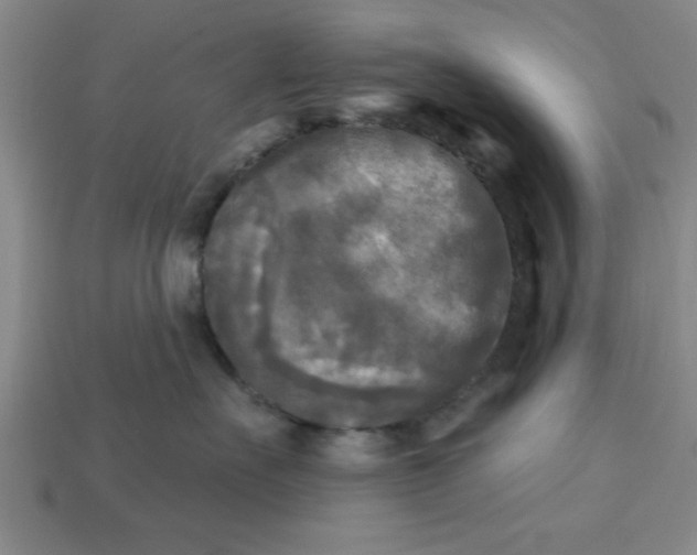X0000113300527200910051045