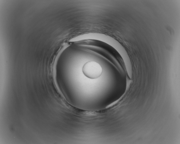 X0000113300528200910051045