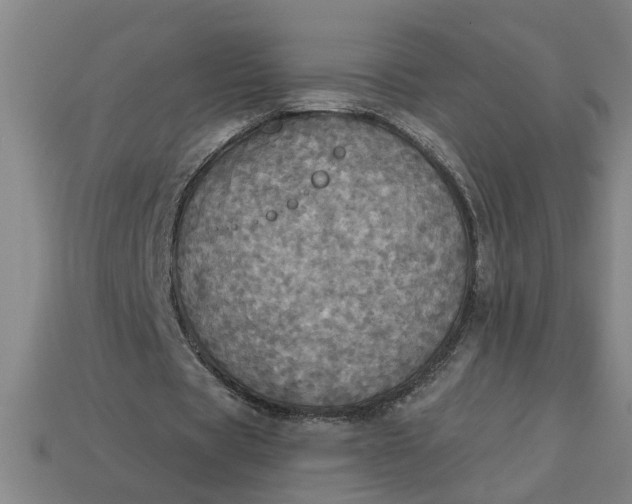 X0000113300529200910051044