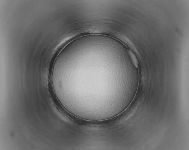 X0000113300530200910051044