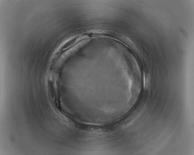 X0000113300531200910051044