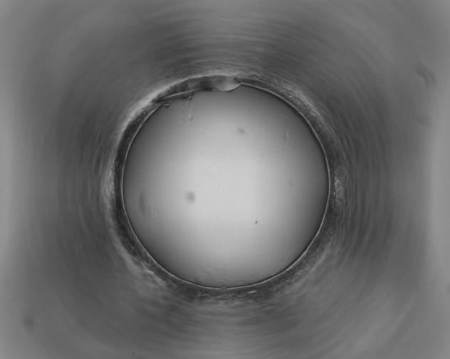 X0000113300532200910051044