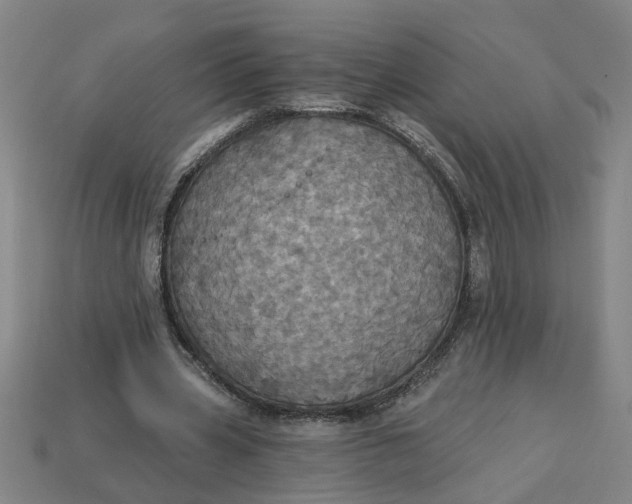 X0000113300533200910051044