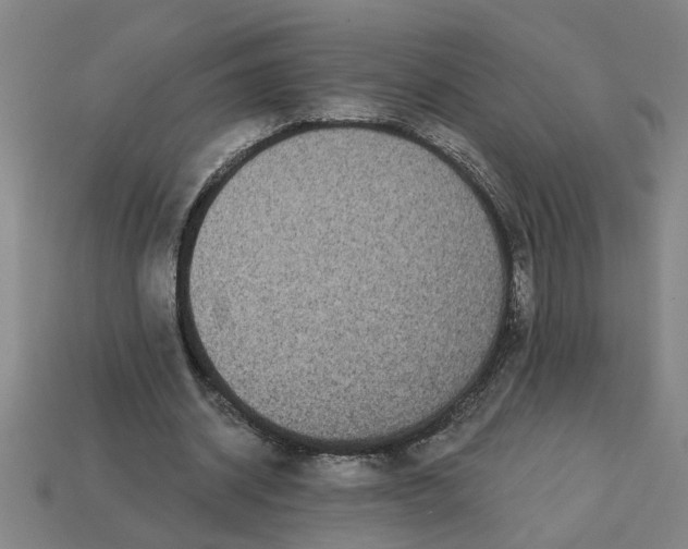 X0000113300534200910051044