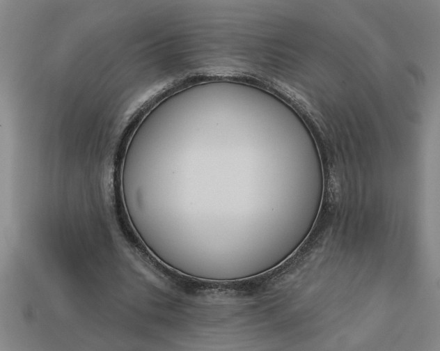 X0000113300535200910051044