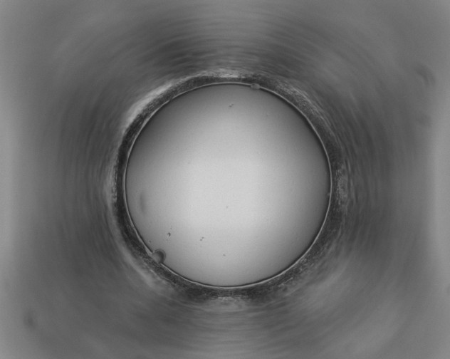 X0000113300536200910051044