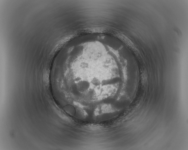 X0000113300537200910051044