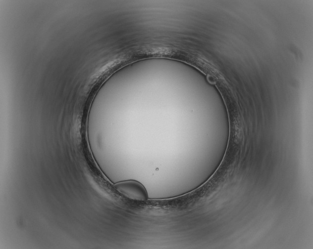 X0000113300538200910051044