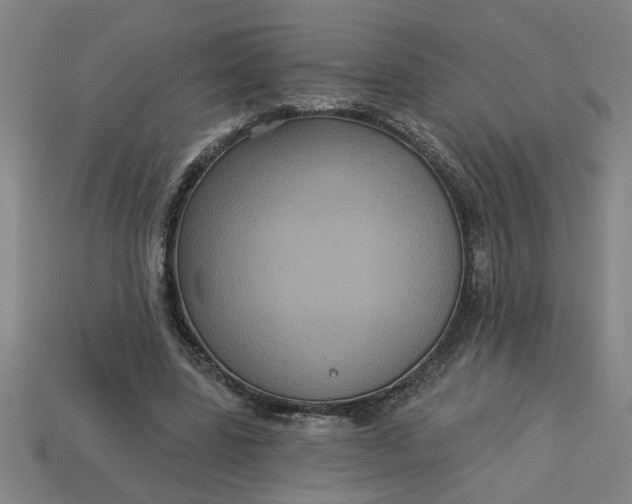 X0000113300539200910051044