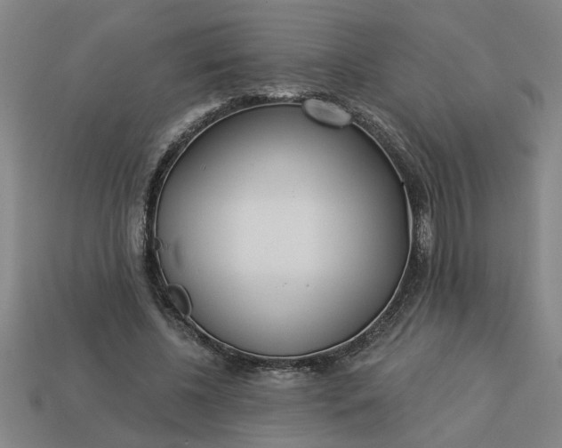 X0000113300540200910051044