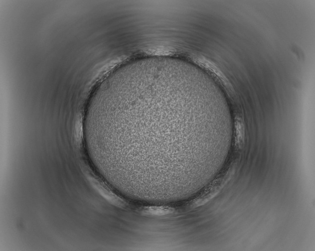 X0000113300541200910051044