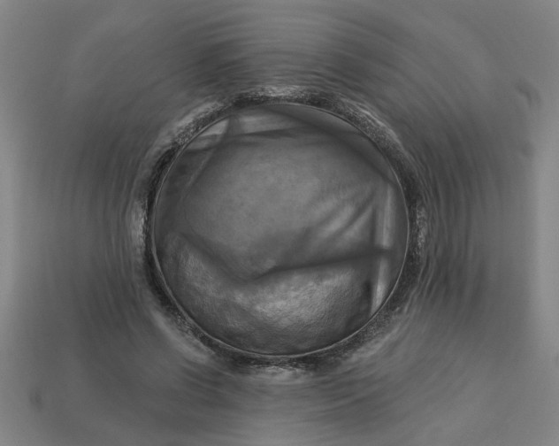 X0000113300542200910051044