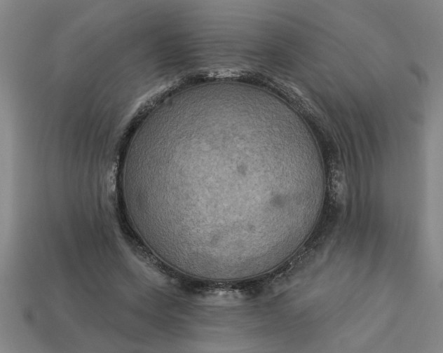 X0000113300543200910051044